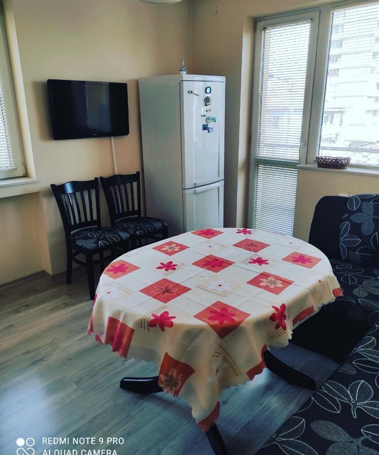 Pleven Sunny Apartment 외부 사진